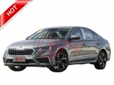 Skoda Octavia Family Car
